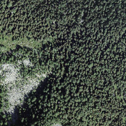 Satellite imagery of Cogn, CH