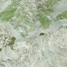 Satellite imagery of Forcellina, CH