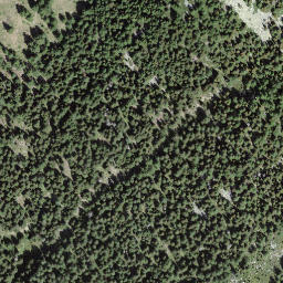 Satellite imagery of Pianca Bella, CH