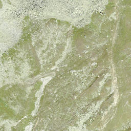 Satellite imagery of Bettmergrat, CH