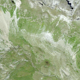 Satellite imagery of Piz Forcellina, CH