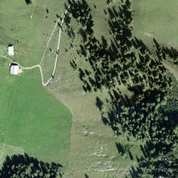 Satellite imagery of Firstli, CH