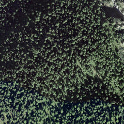 Satellite imagery of Mannlich, CH