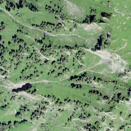 Satellite imagery of Les Arpilles, CH