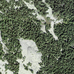 Satellite imagery of Forcarella, CH