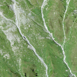 Satellite imagery of Piz dal Sasc, CH