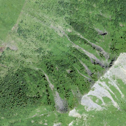 Satellite imagery of Arnätschistand, CH
