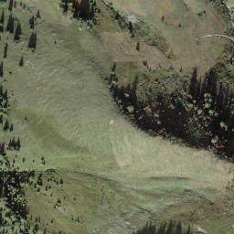 Satellite imagery of Arpeliflue, CH