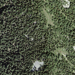 Satellite imagery of Forcarella, CH