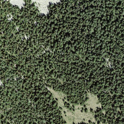 Satellite imagery of Forcarella, CH