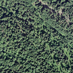 Satellite imagery of Âne, Pas à l', CH