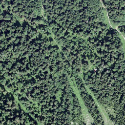 Satellite imagery of Âne, Pas à l', CH