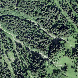Satellite imagery of Âne, Pas à l', CH