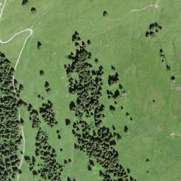 Satellite imagery of Walighürli, CH