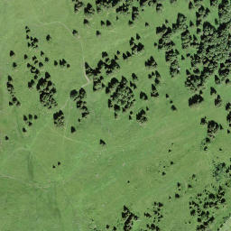 Satellite imagery of Walighürli, CH