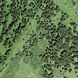 Satellite imagery of Walighürli, CH