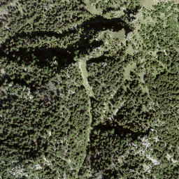 Satellite imagery of Pizzo Muncréch, CH