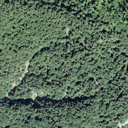 Satellite imagery of Âne, Pas à l', CH