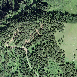Satellite imagery of Âne, Pas à l', CH