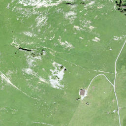 Satellite imagery of Petit Van, CH