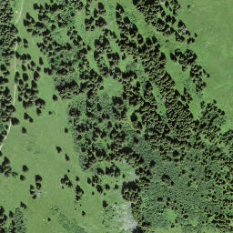 Satellite imagery of Walighürli, CH