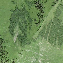 Satellite imagery of Walighürli, CH