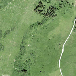 Satellite imagery of Walighürli, CH