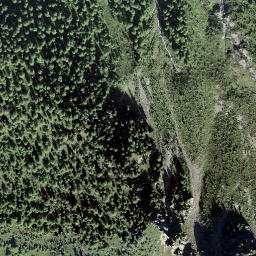 Satellite imagery of Schwarzi Licka, CH