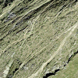 Satellite imagery of Moosfluo, CH