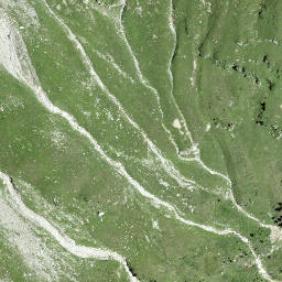 Satellite imagery of Gronda de Remolasch, CH