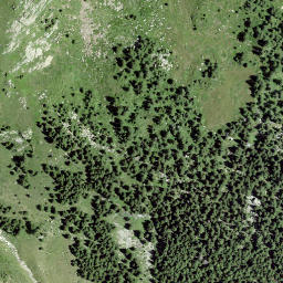 Satellite imagery of Gronda de Remolasch, CH