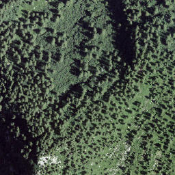Satellite imagery of Mottan, CH