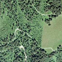Satellite imagery of Âne, Pas à l', CH