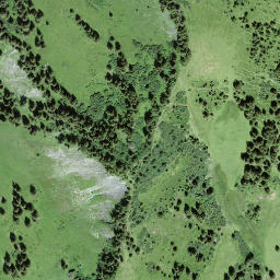 Satellite imagery of Walighürli, CH