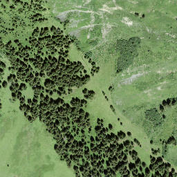 Satellite imagery of Walighürli, CH