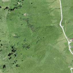 Satellite imagery of Walighürli, CH