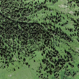 Satellite imagery of Walliser Wispile, CH