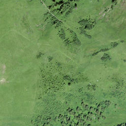 Satellite imagery of Walliser Wispile, CH