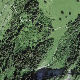Satellite imagery of Seebüel, CH
