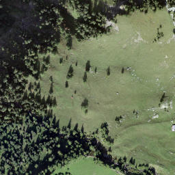 Satellite imagery of Holzersflue, CH