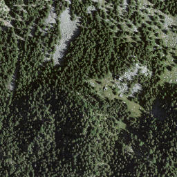 Satellite imagery of Bòrsgen, Bocchetta di, CH