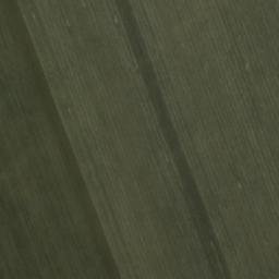 Satellite imagery of MD 0626, UA