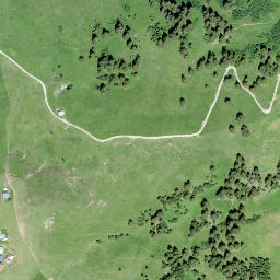 Satellite imagery of Walliser Wispile, CH