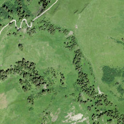 Satellite imagery of Walliser Wispile, CH