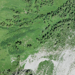 Satellite imagery of Walliser Wispile, CH
