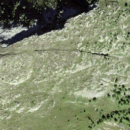 Satellite imagery of Alplighorn, CH