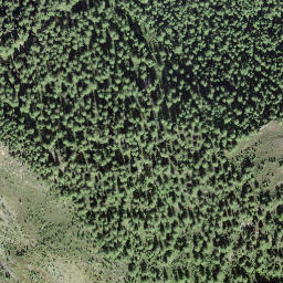 Satellite imagery of Bätzlerrigg, CH
