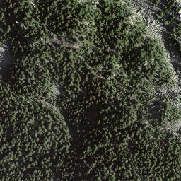 Satellite imagery of Pizzo di Borgéno, CH