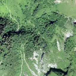 Satellite imagery of Sex des Placettes, CH