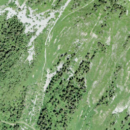 Satellite imagery of Mont d'Or, CH